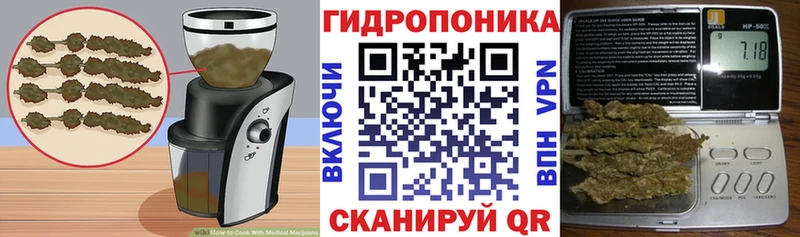 Canna-Cookies марихуана  купить закладку  Отрадное 