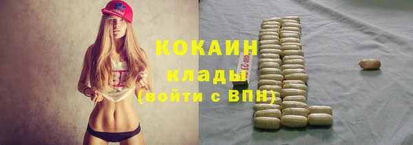 гашик Баксан