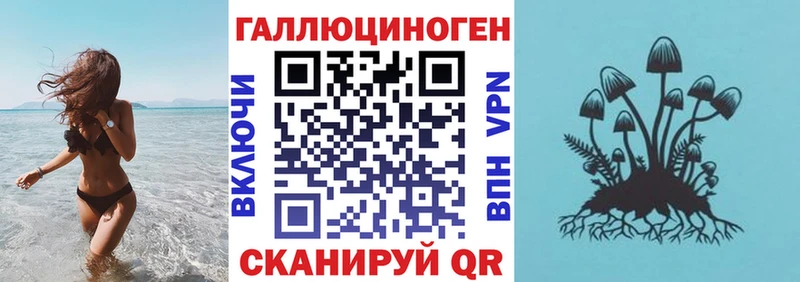 Псилоцибиновые грибы Magic Shrooms  как найти наркотики  дарк нет телеграм  Отрадное 
