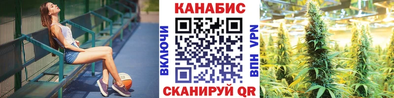 Конопля SATIVA & INDICA Отрадное